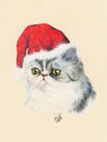 persian cat with Santa's hat