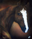pintura cavalo óleo sobre tela