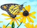 pintura borboleta monarca em aquarela