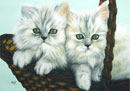 persian kittens in a basket pastel drawing