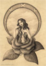 woman and flower illustration