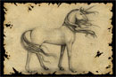 unicorn vintage illustration