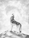 retratos de animais